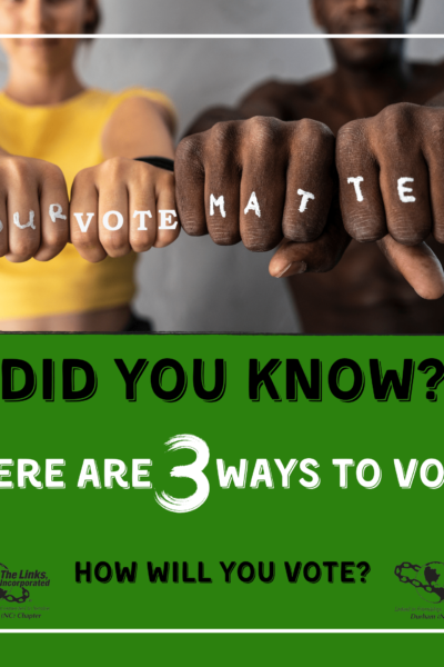 3 Ways to Vote